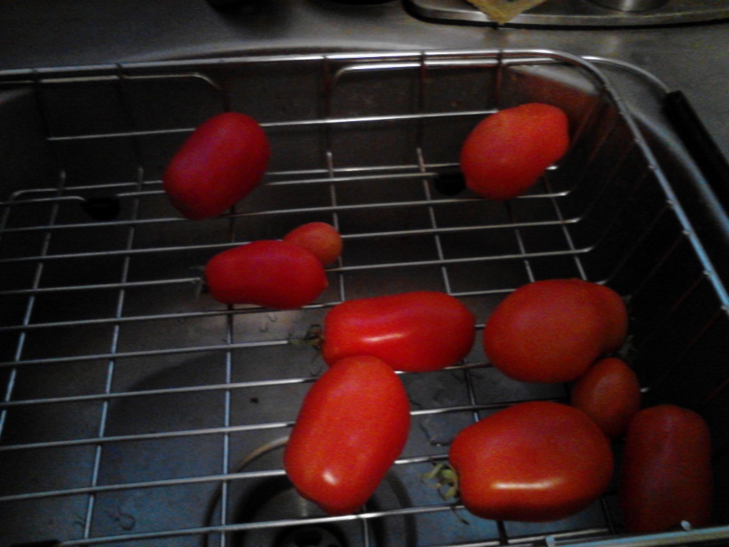 Tomatoes